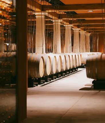Rangées de barriques en chêne dans le chai du Château d’Esclans