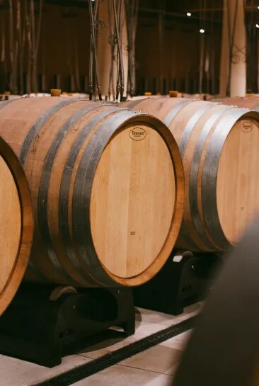 Close-up of oak barrels used for aging wine in Château d’Esclans cellar