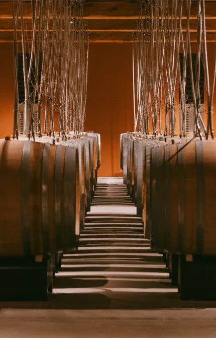 Rangées de barriques en chêne dans le chai du Château d’Esclans