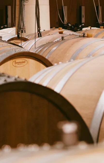 Close-up of oak barrels in the Château d’Esclans cellar