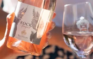 Forbes article on Thanksgiving wine pairings, recommending Rock Angel rosé for its balance of ripe fruit, freshness, and ability to complement rich seasonal flavors.