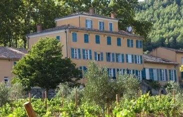 The Drinking Hour podcast featuring Sacha Lichine discussing the creation of Château d’Esclans and its role in building one of the world’s most iconic rosé brands.