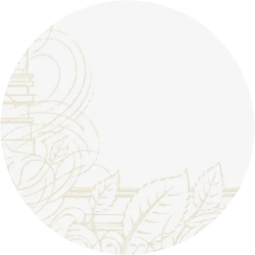 Delicate architectural drawing on a light background: