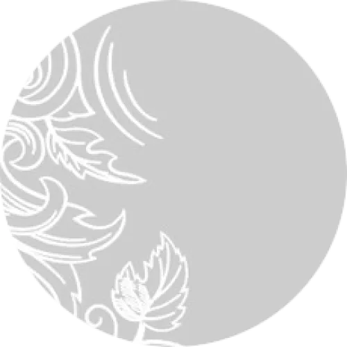 Un coin d'image rempli de motifs ornementaux dans des tons de gris clair