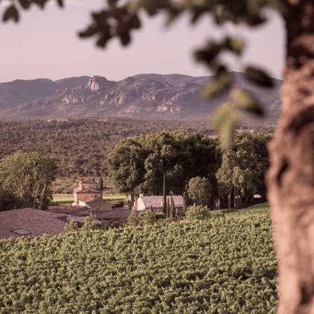 CHÂTEAU D'ESCLANS' GARRUS ROSÉ BEDAZZLES - Provence WineZine